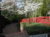 Front of house 2000
